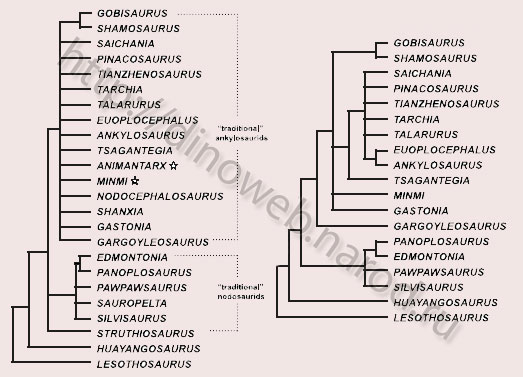 Gobisaurus domoculus classification