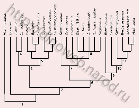 Phylogenetic relationships of Berberosaurus liassicus