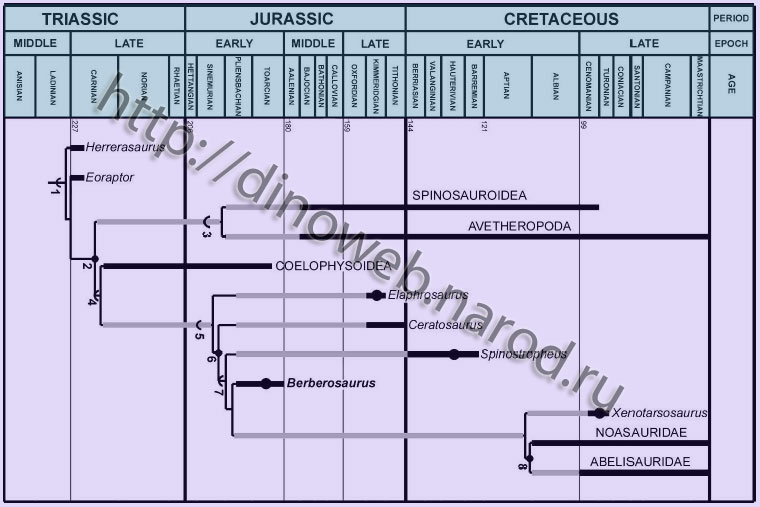 Stratigraphically calibrated phylogeny of Ceratosauria and basal Theropoda
