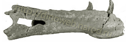 Masiakasaurus knopfleriholotype dentary (UA 8680) in right lateral view