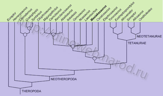 Cladogram showing phylogenetic relationships of Masiakasaurus knopfleri and other theropods