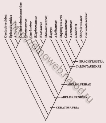 Skorpiovenator bustingorryi classification