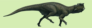 DINOWEB - dinosaurs web-site
